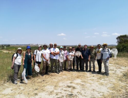 Jornada de polinizadores organizada por GREFA